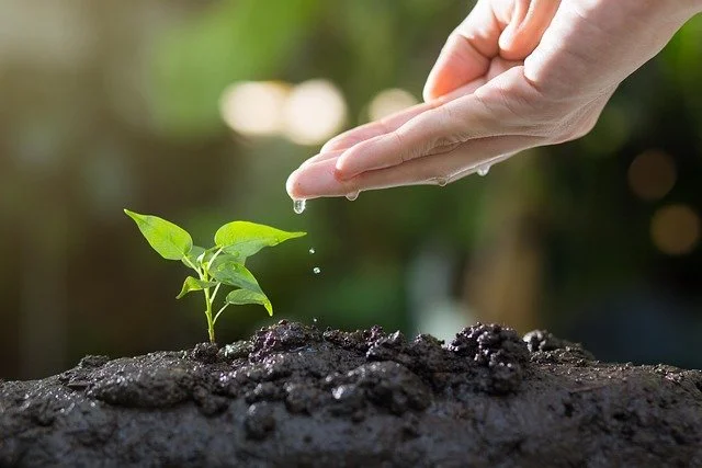 Building impact with care