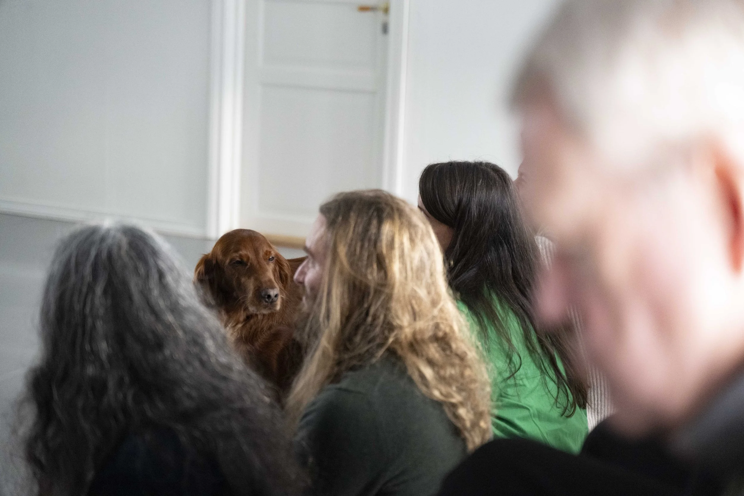 Vil du jobbe i administrasjonen?