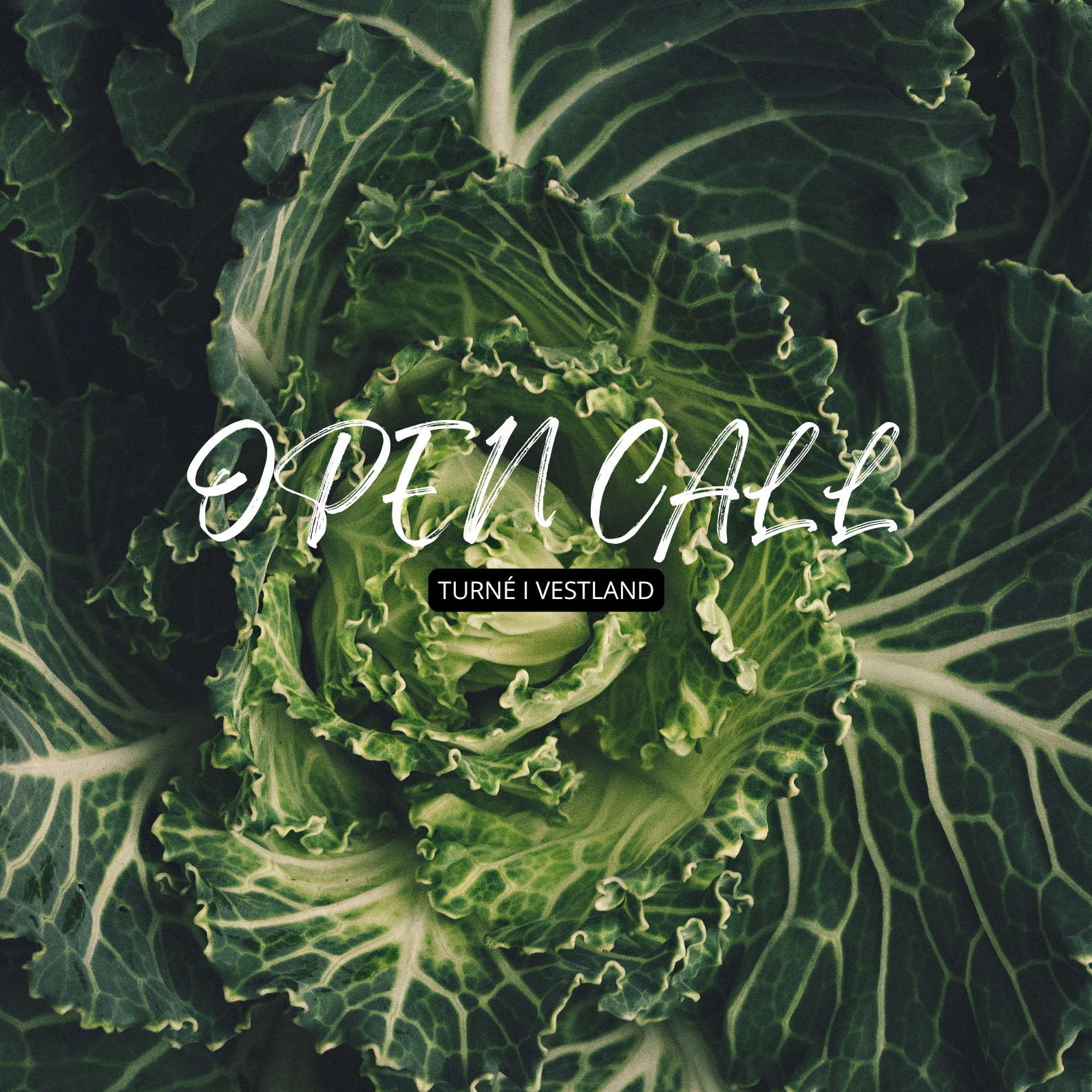Open call for turné i Vestland