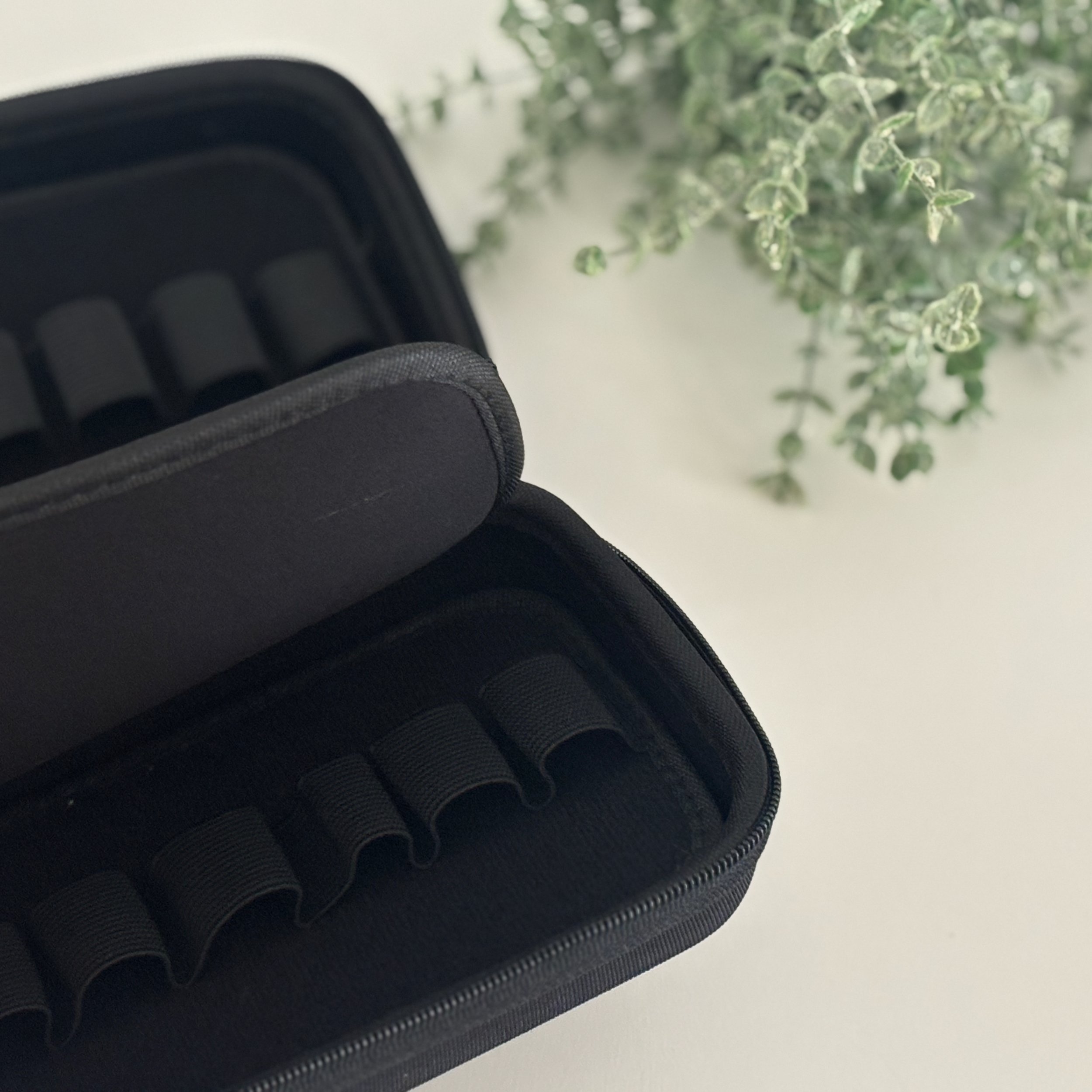 12 Remedy Case
