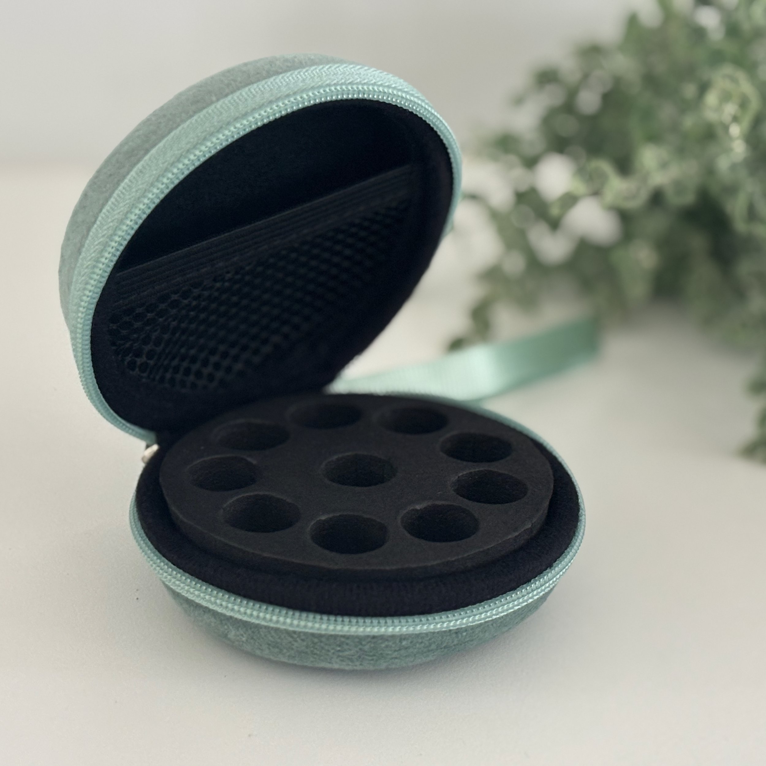 10 Remedy Case