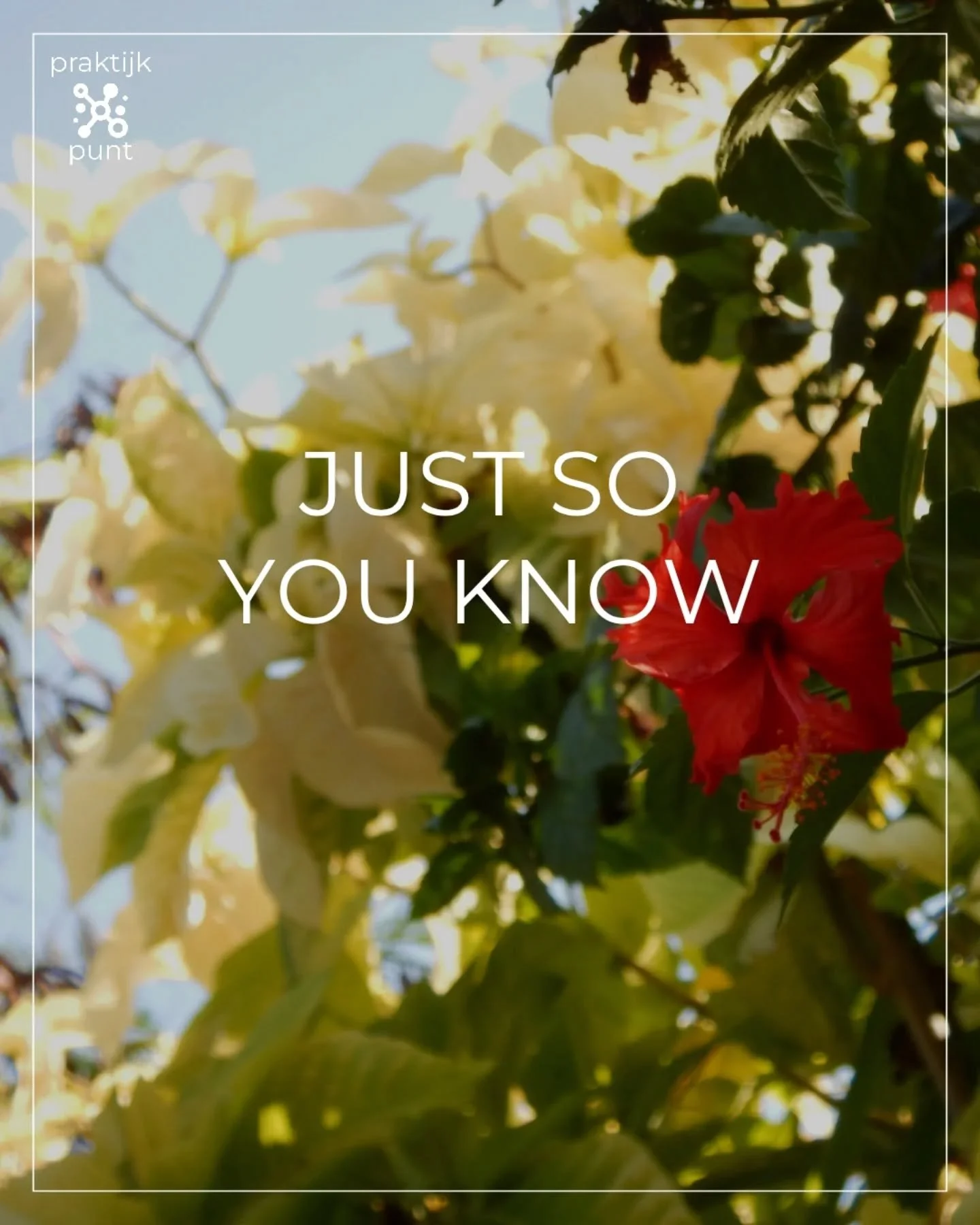 JUST SO YOU KNOW. 

The sky is NOT the limit. 

En gelukkig maar! Want wat nou als je niet per se uit je #comfortzone wil komen, 'the limit' op wil zoeken, en gewoon tevreden bent met hoe het nu is? Dan is dat helemaal prima! Want het is niet omdat h