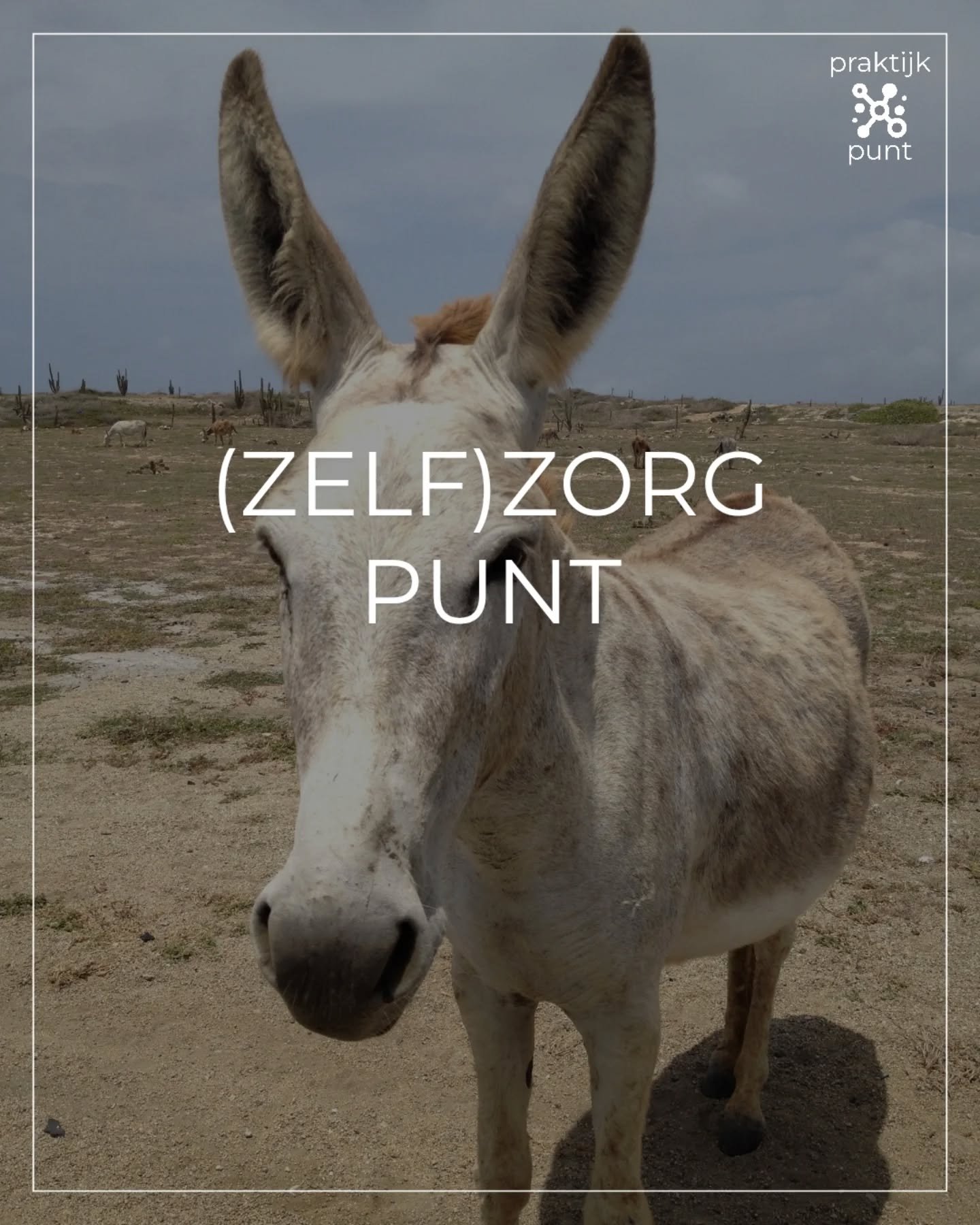 (ZELF)ZORG PUNT. 

Soms is het nodig om voor jezelf te kiezen en te stoppen met relaties die je enkel #energie kosten. 

De meesten zullen het herkennen: Zo'n vriend(in) of andere relatie waar je eerder moe en leeggezogen van terug komt in plaats van