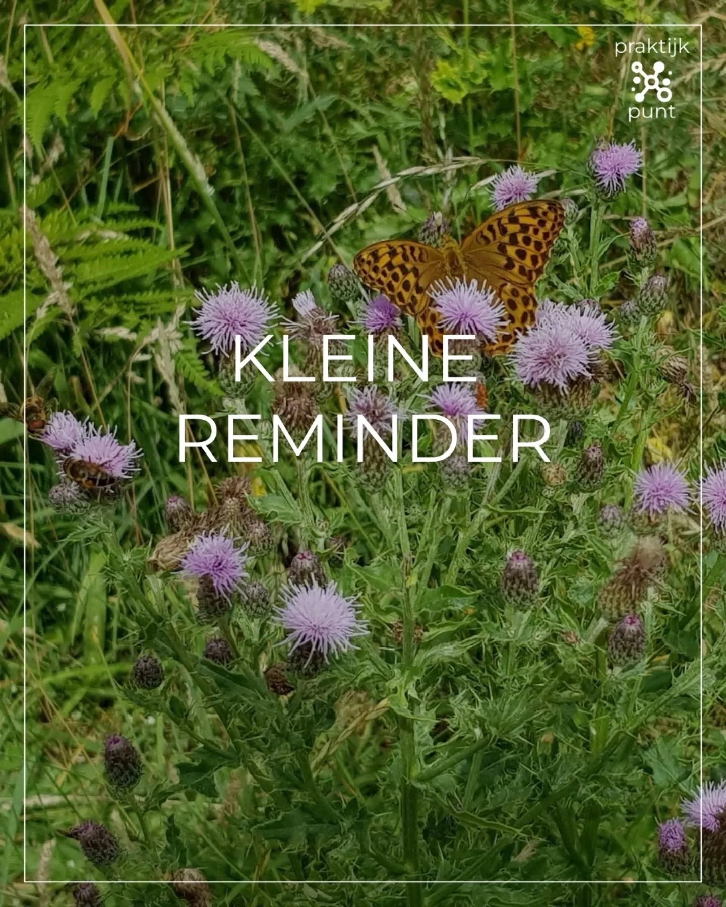 KLEINE REMINDER. 

Gewoon is al goed genoeg. 

#kleinereminder #goedgenoeg
#praktijkpunt