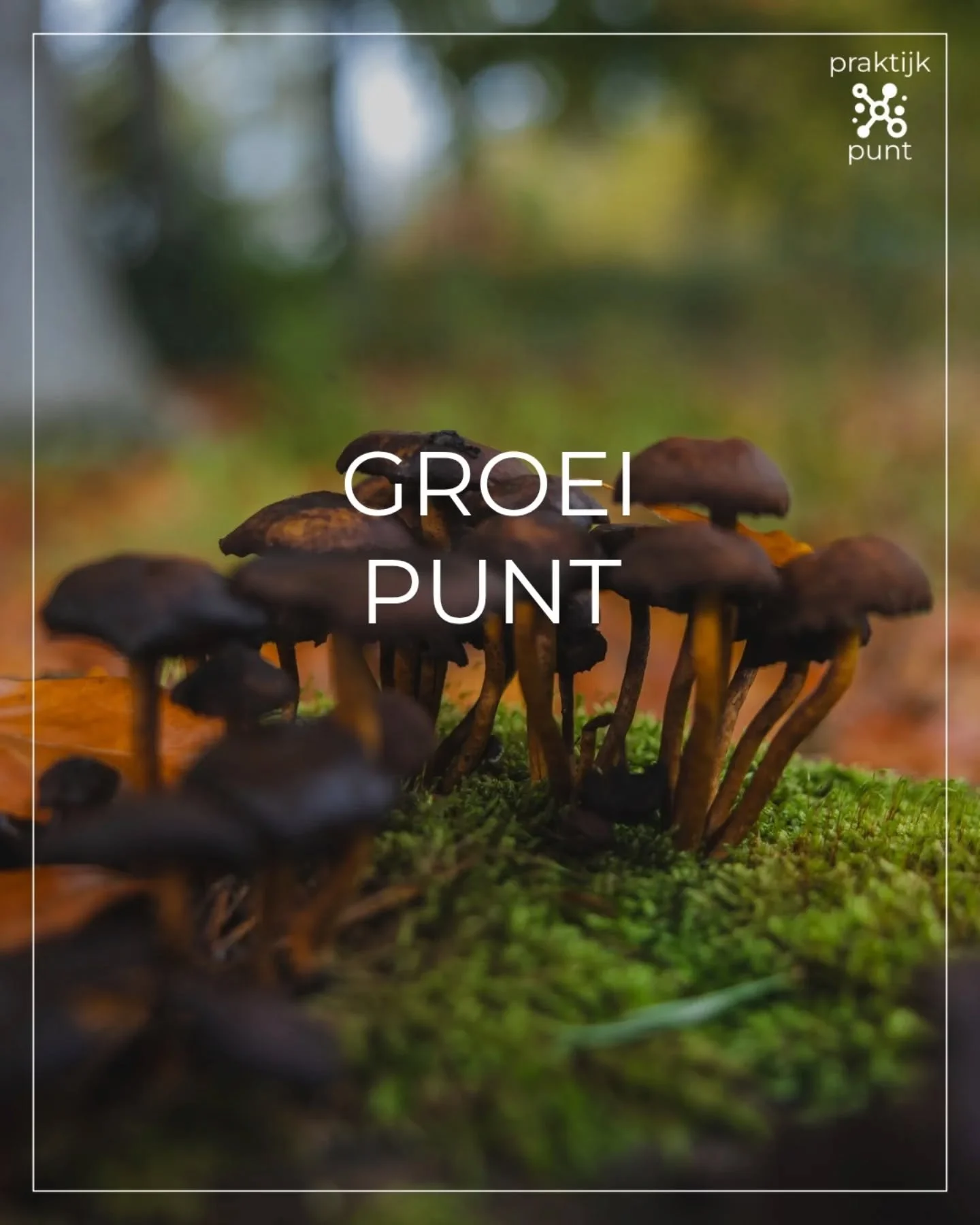 GROEIPUNT. 

Vergelijk jezelf niet met anderen, 
maar met de persoon die je gister was. 

Elke dag kan je een mini-stapje zetten in de richting die jij bepaalt! Elke dag een klein #succesje. Het is daarom zo belangrijk om die waardevolle stapjes te k