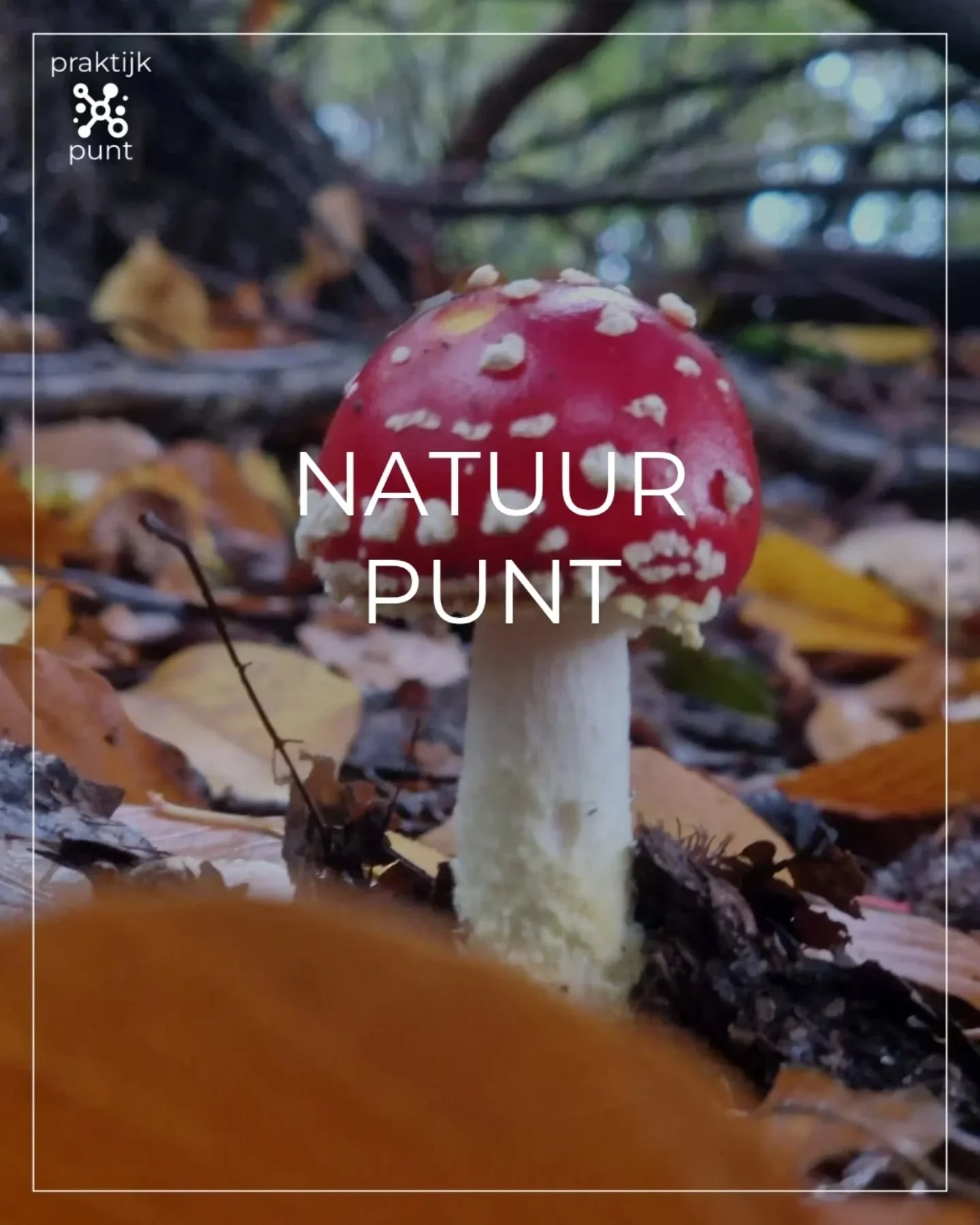 NATUURPUNT.

Wist je datje: Zo'n 30 minuten per dag buiten zijn zorgt ervoor dat we minder #stress ervaren en beter kunnen #focussen.

Dus, hoe plan jij vandaag een half uurtje buiten zijn in? Wandelen, joggen, praten, of gewoon #mindful aanwezig zij