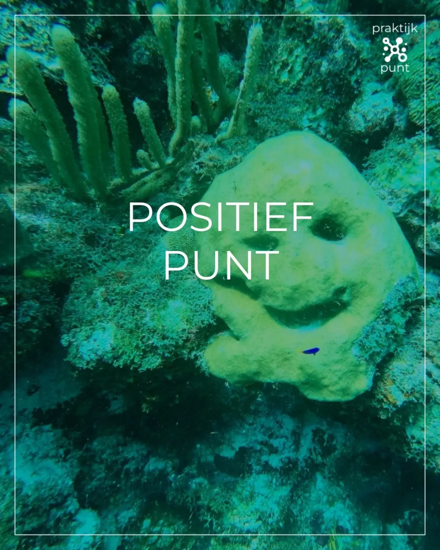 POSITIEF PUNT.

Vraagje: Hoe positief denk jij?

Kinderen zijn vaak een confronterende spiegel voor hun ouders... Wat horen en zien je kinderen zoal wanneer jij een baaldag hebt, iets niet kunt of niet durft? 

Je mag zeker je emoties laten zien en e