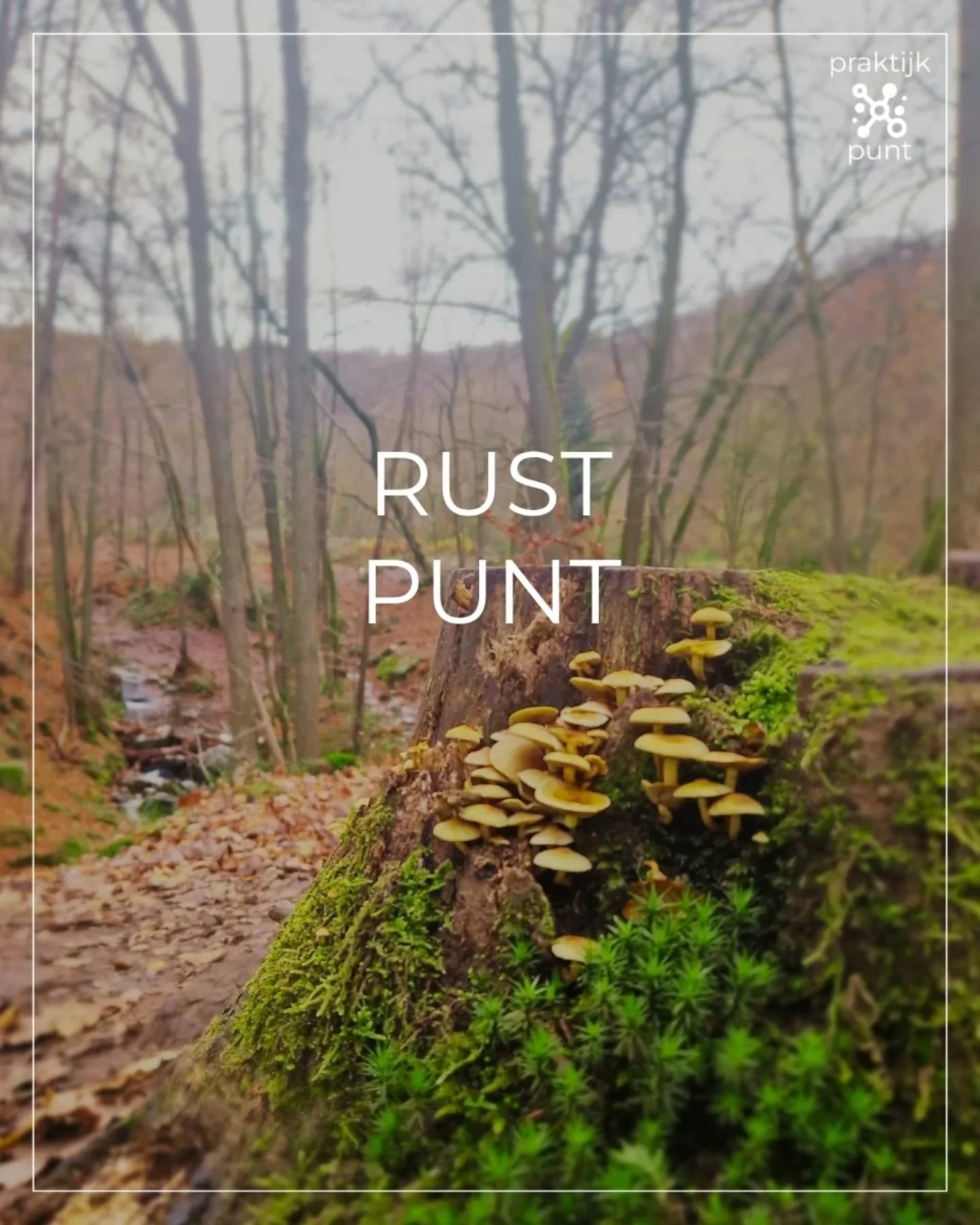 RUSTPUNT.

When you are resting because you are worn out, you need to remember that you are not wasting the day doing nothing. You are doing exactly what you need to do. You are recovering 🧡

Ik ben momenteel ook aan het herstellen. Niet vanuit uitp