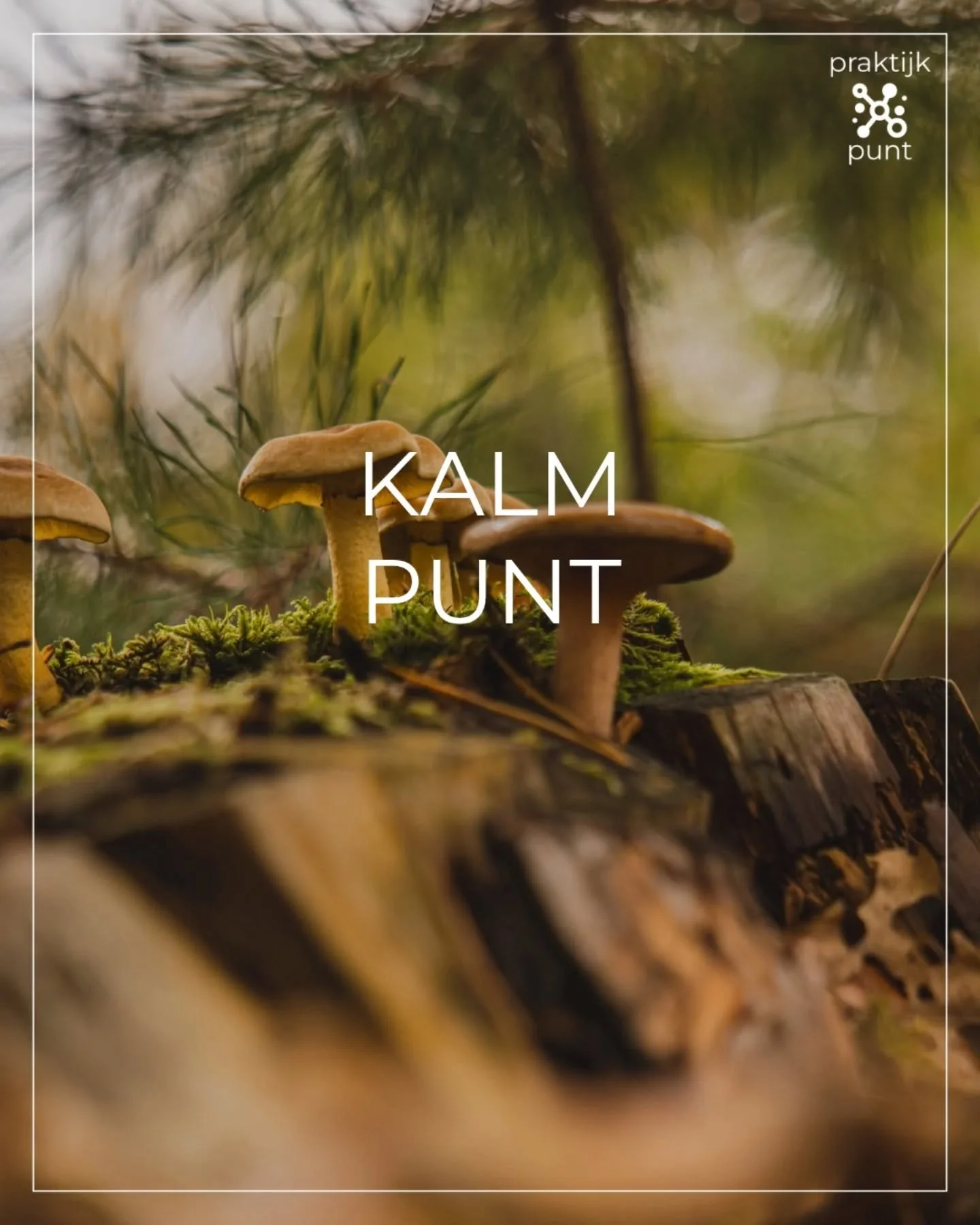 KALM PUNT.

Ik heb al een aantal posts gemaakt over #buikademhaling. En hier komt er nog &eacute;&eacute;n 😉

Als je buikademhaling goed onder de knie hebt, kan je dit ook toepassen in lastige situaties. Als je bijvoorbeeld #stress hebt, dan gaat je