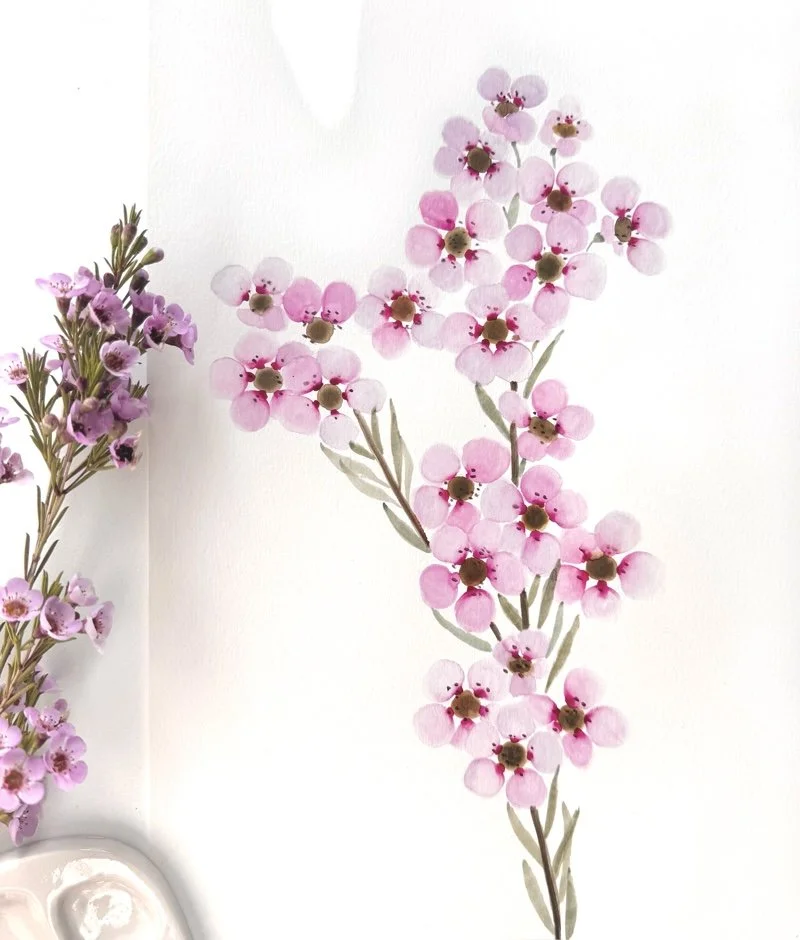 waxflowerworkshop!'.jpg
