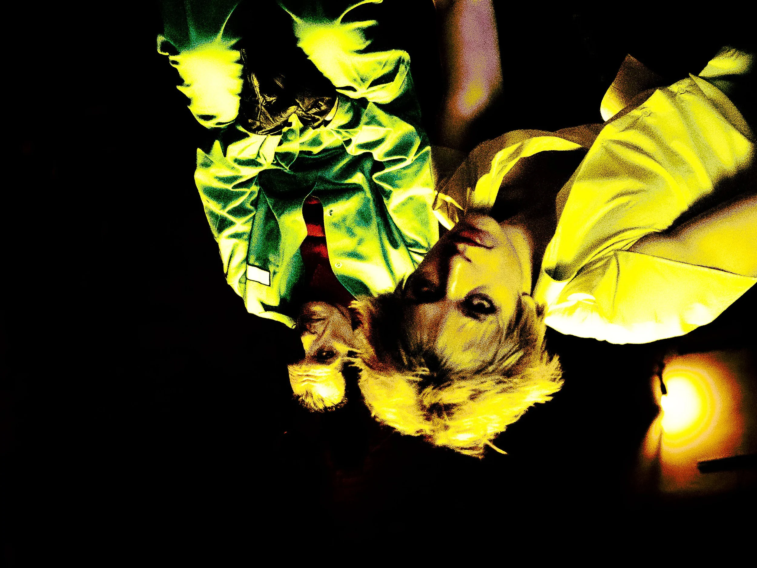 MELODELIA FLESH 2-28.jpg