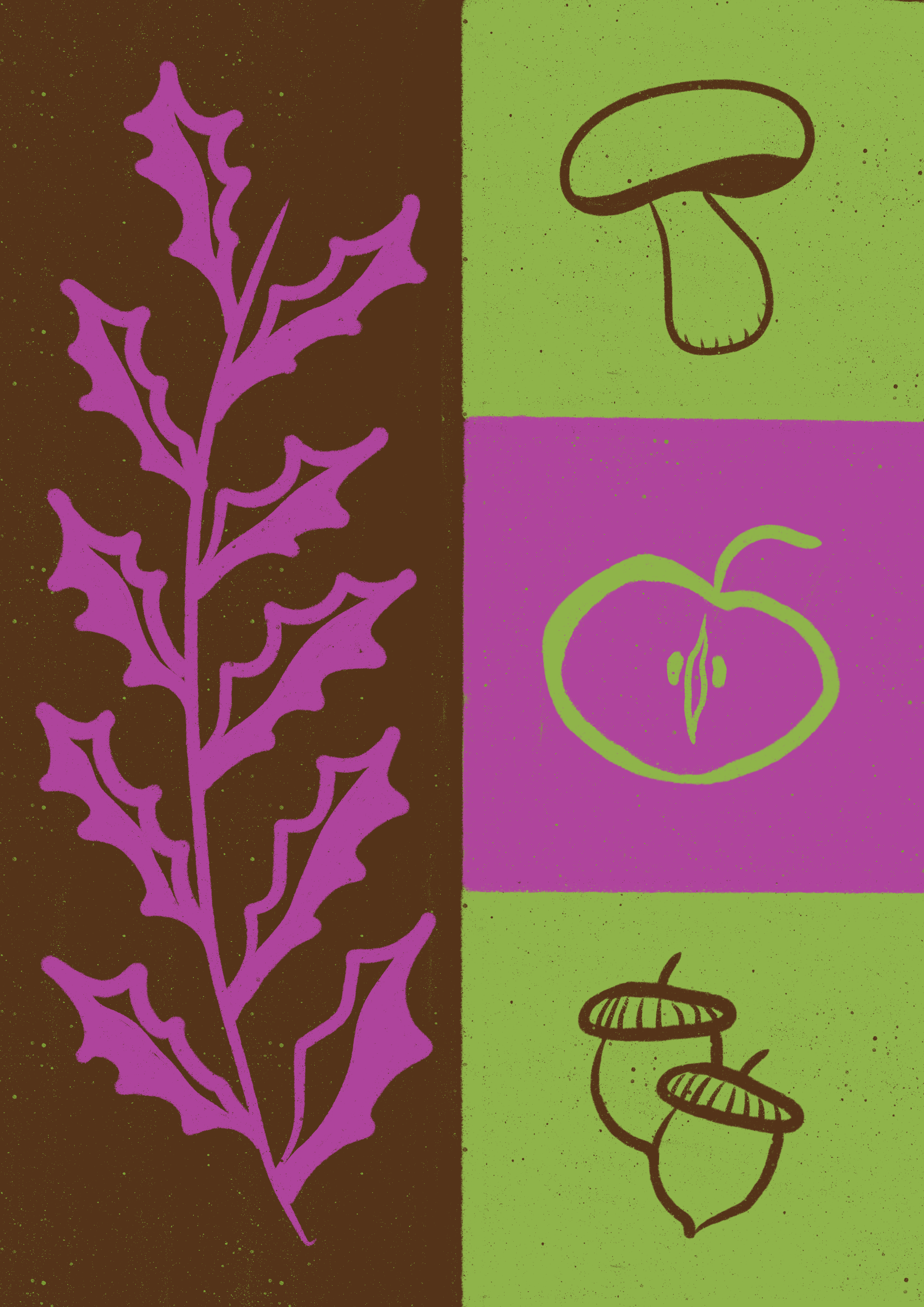 Illustration - Cueillette.png