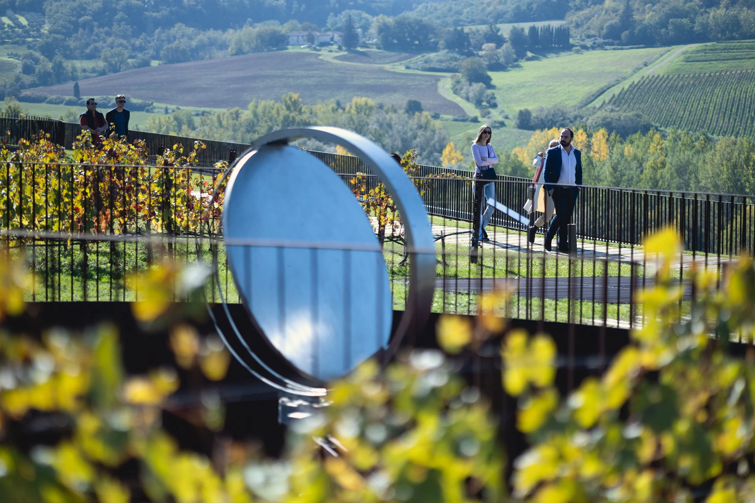 People walking on a pathway through a vineyard with rolling hills and lush greenery in the background on a sunny day.