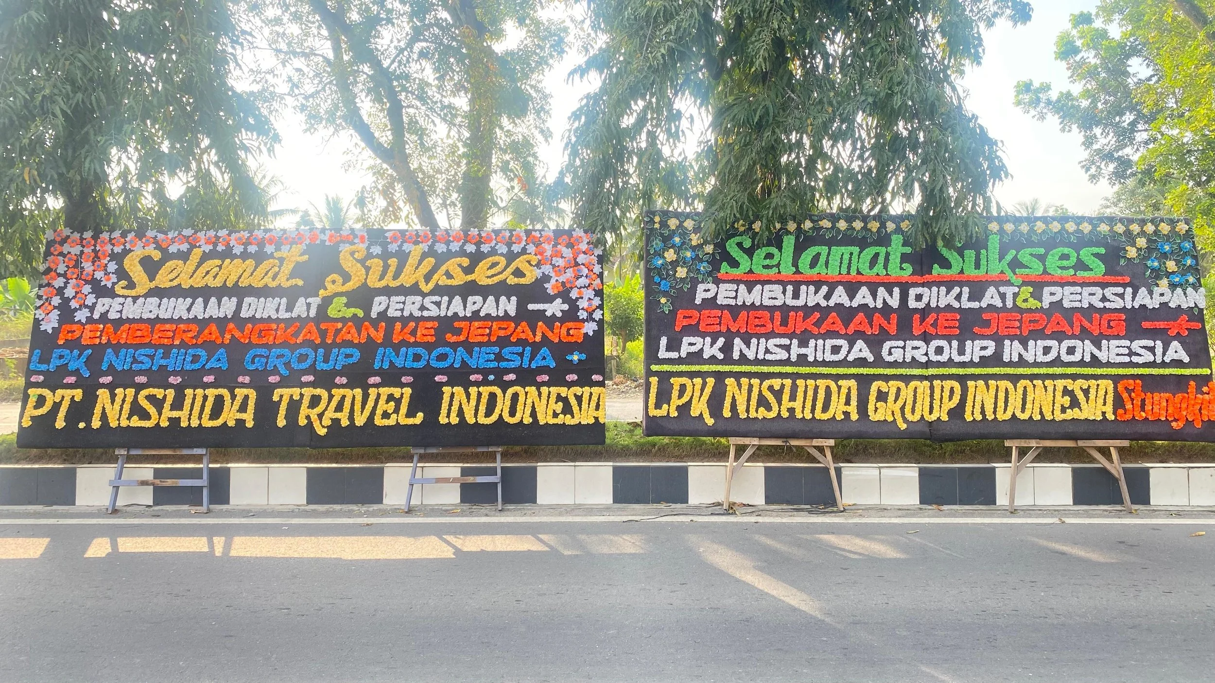 WhatsApp Image 2026-02-12 at 11.22.19.jpeg