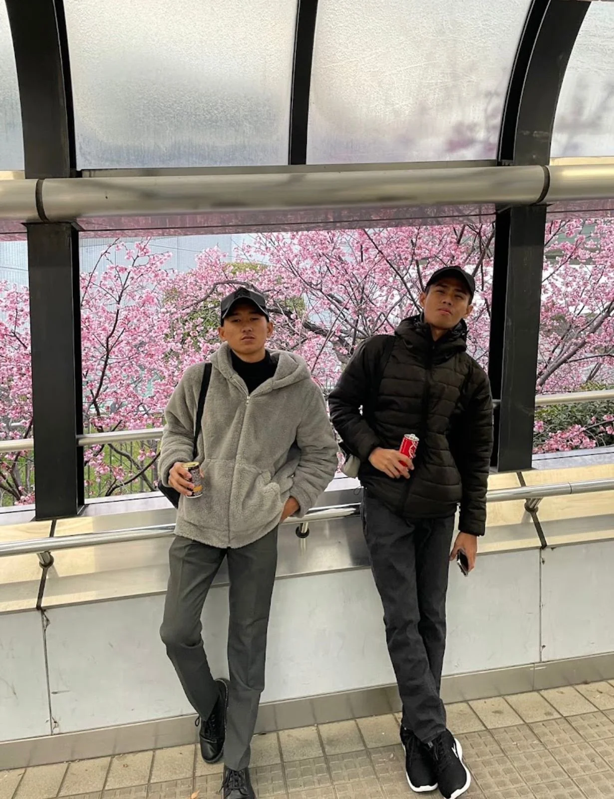 WhatsApp Image 2026-03-31 at 20.59.14.jpeg