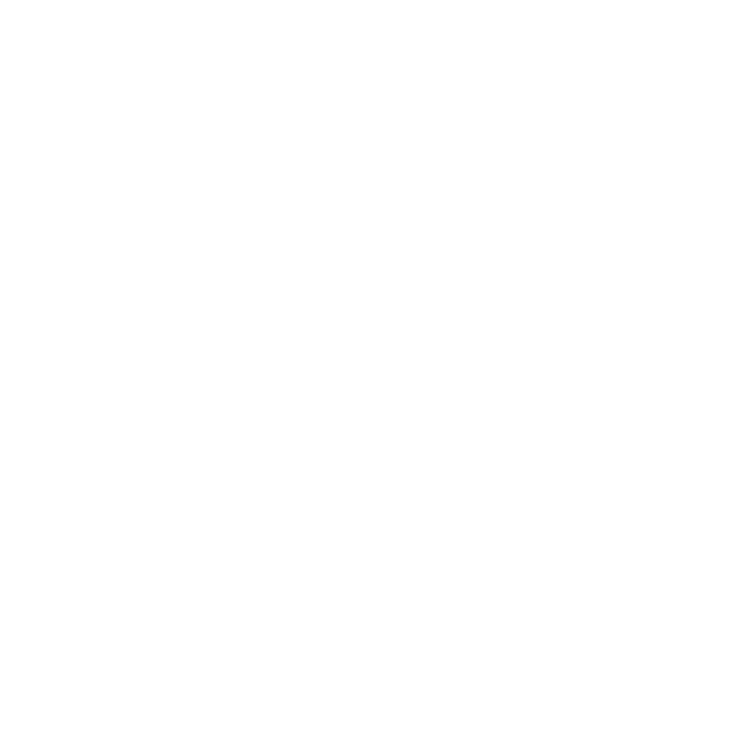 Solid white background with no visible elements.