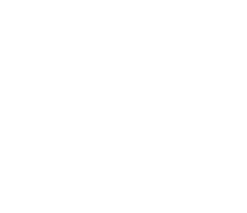 Solid white background