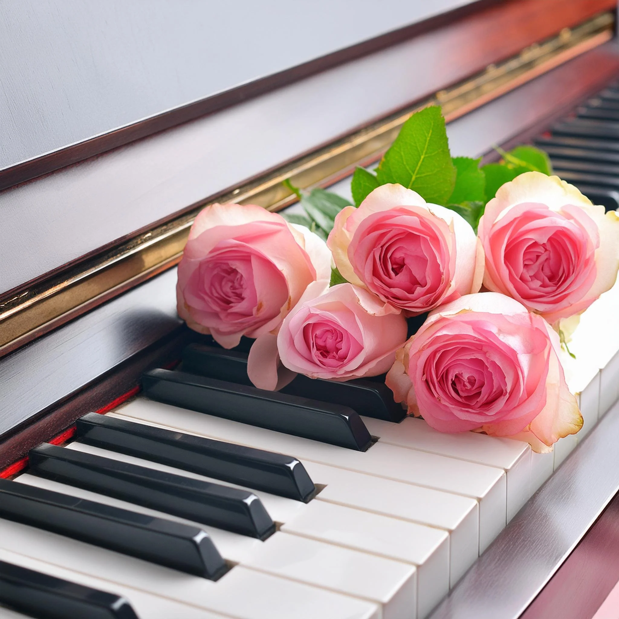 PianoRose.jpg