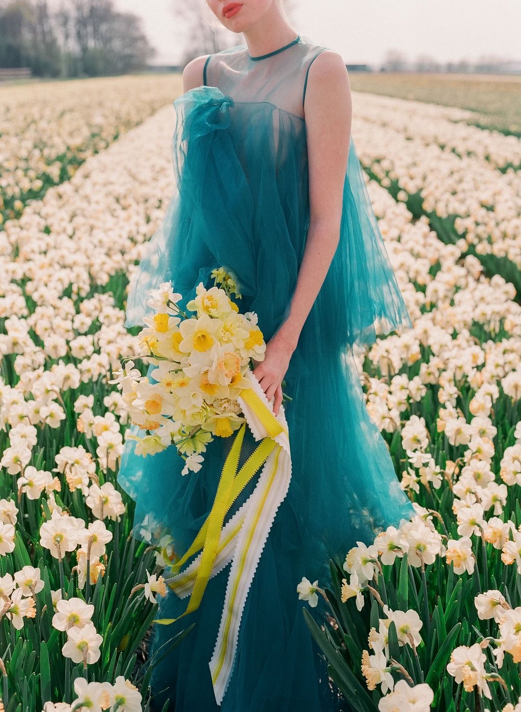 2019_Holland_Tulip_Fields_0207.jpeg