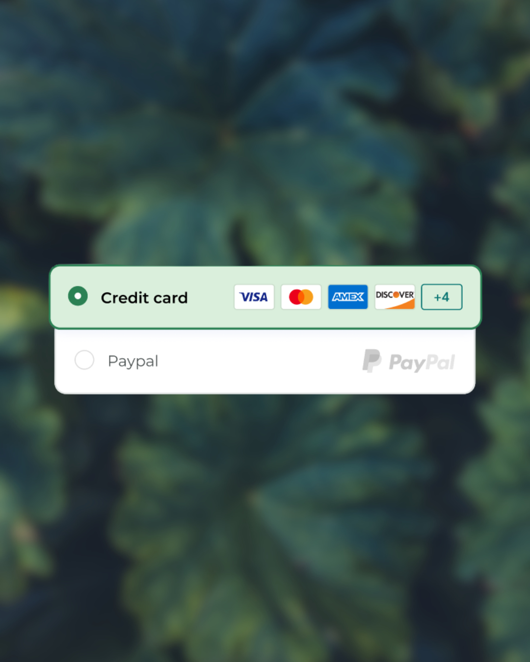 Payment method selection menu with options for credit card and PayPal. The credit card option is selected, showing logos for Visa, MasterCard, American Express, Discover, and additional options. The PayPal option is unselected.