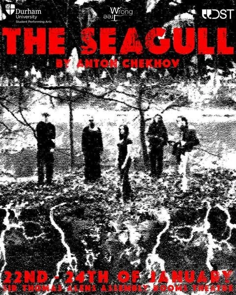 ‘The Seagull’ review