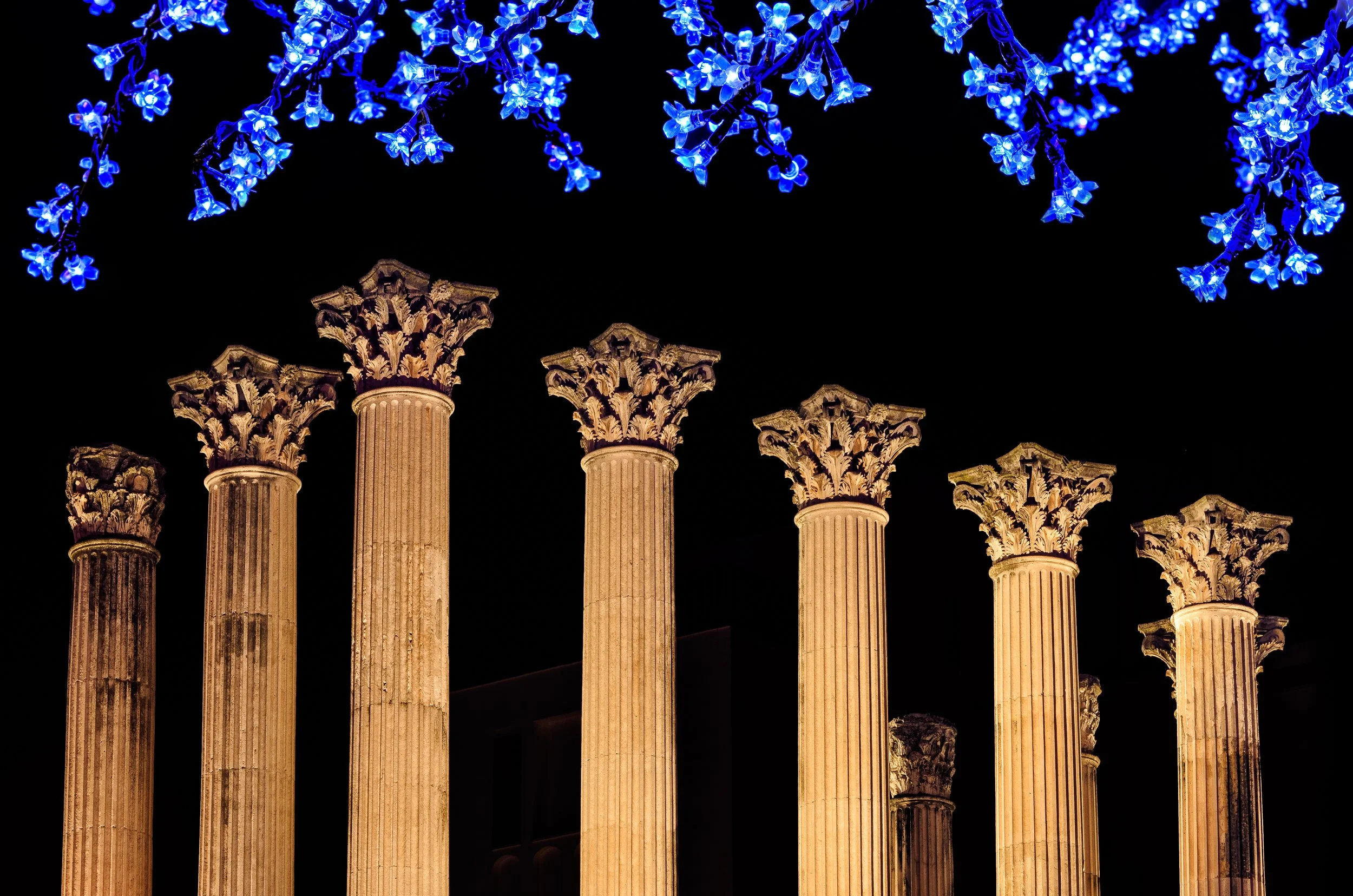 The Working Classicists Christmas Gift List 2025&nbsp;