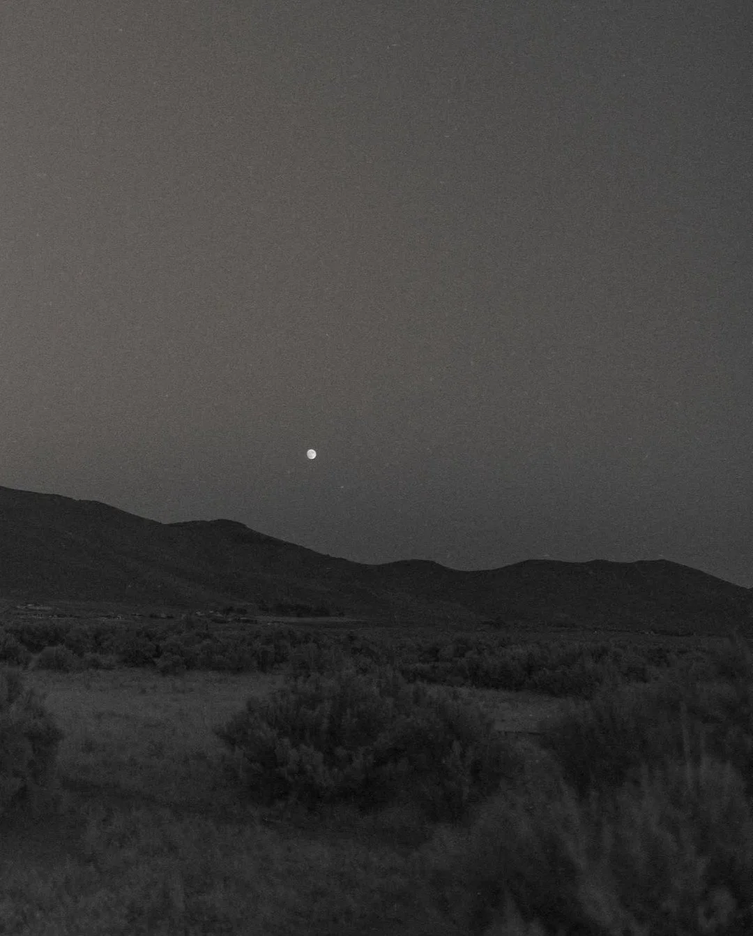 There&rsquo;s something timeless about the way Bianca Sciotto captures a wedding day &mdash; the quiet in-between moments, the joyful chaos, and the beauty that unfolds when love is fully present. 📸🤍
Her imagery feels effortless yet deeply intentio