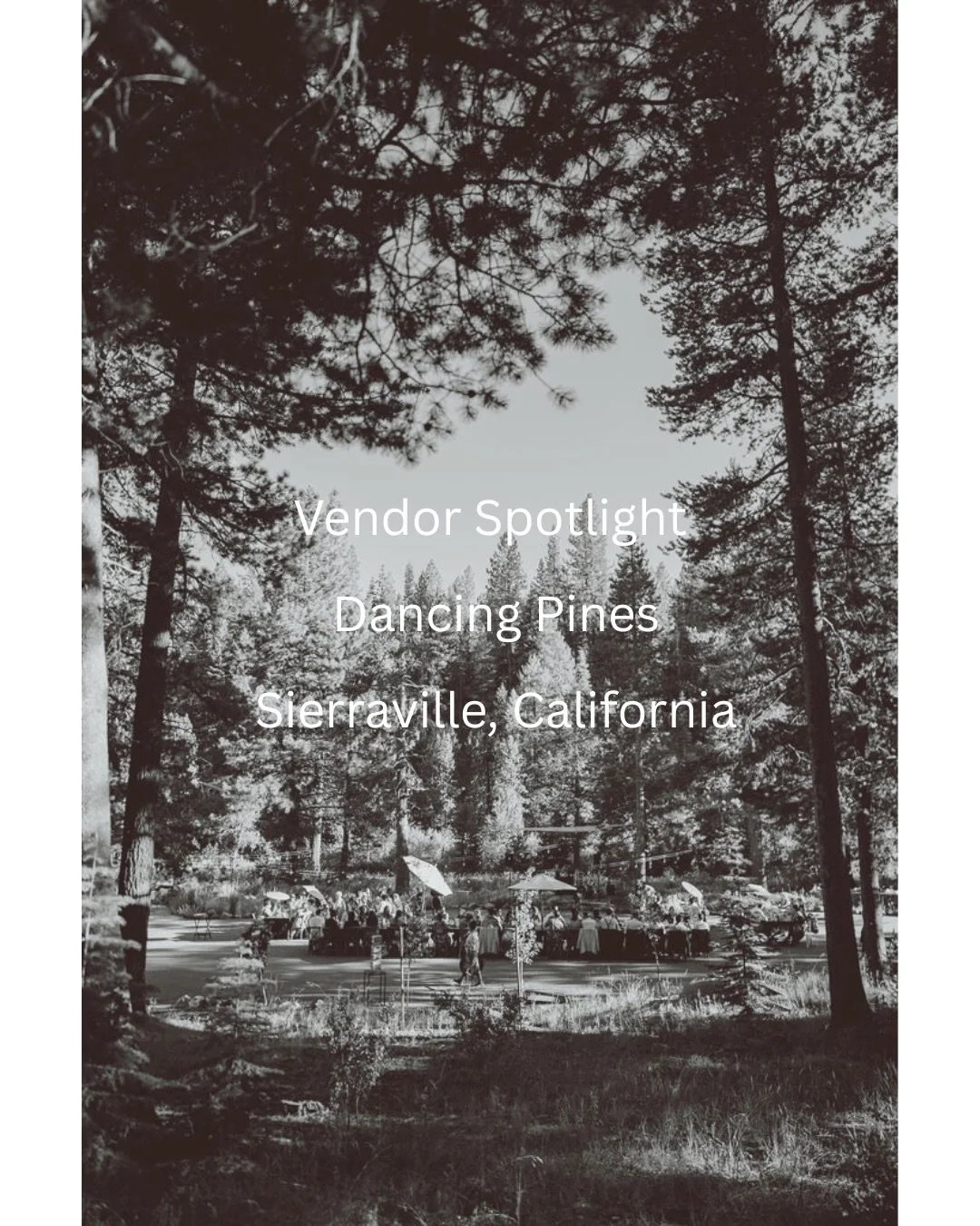 If you&rsquo;re dreaming of a Sierra mountain wedding that feels intimate, scenic, and completely your own&hellip; save this.

Dancing Pines in Sierraville is one of those venues that quietly delivers everything couples want:

&bull; Riverside ceremo