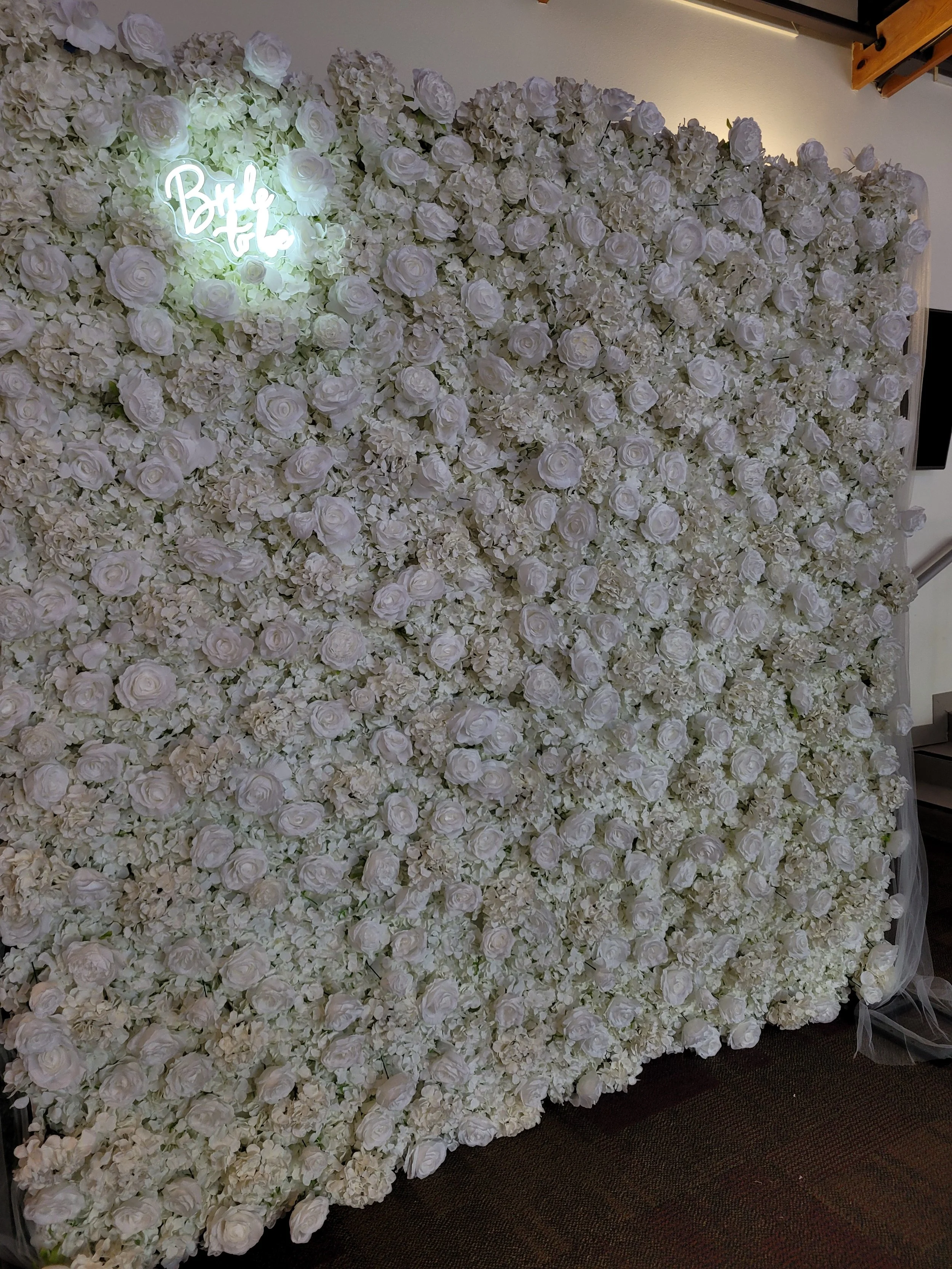 1000049451.jpg
