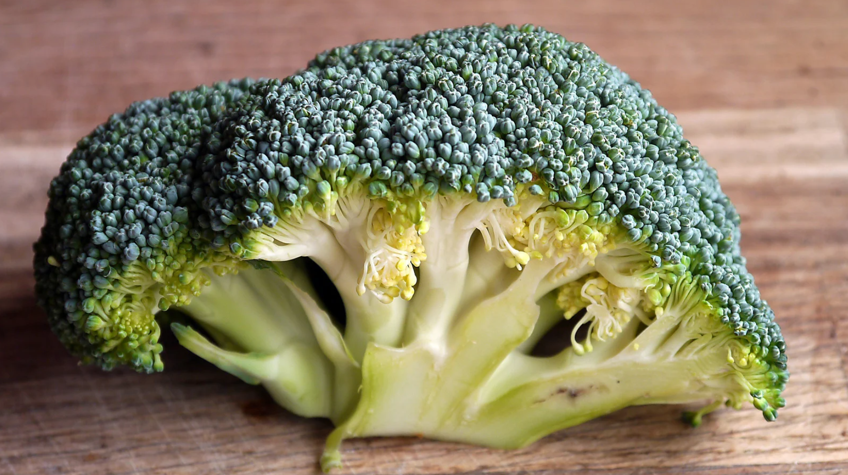 Broccoli (Brassica Oleracea)