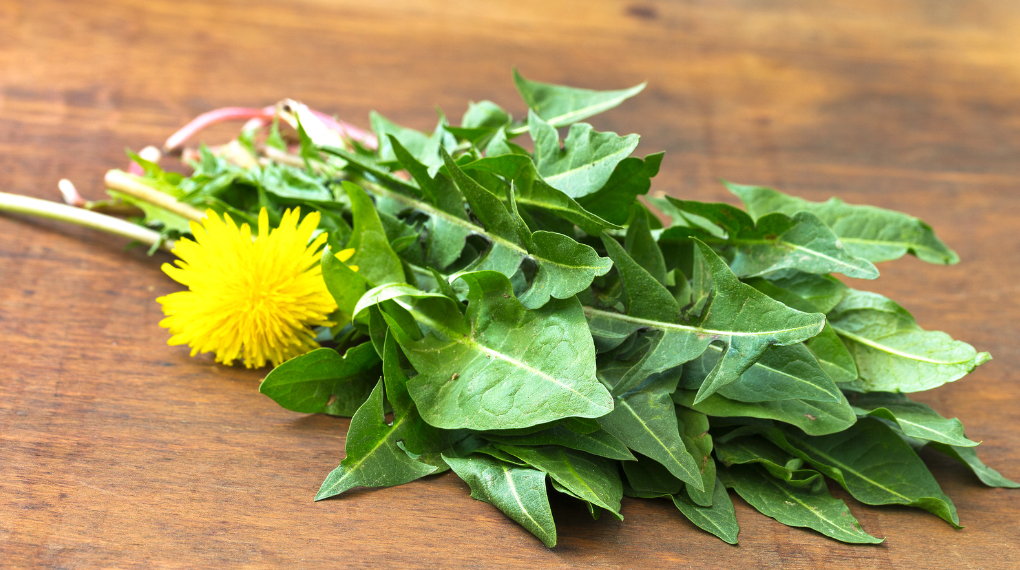 Dandelion Greens