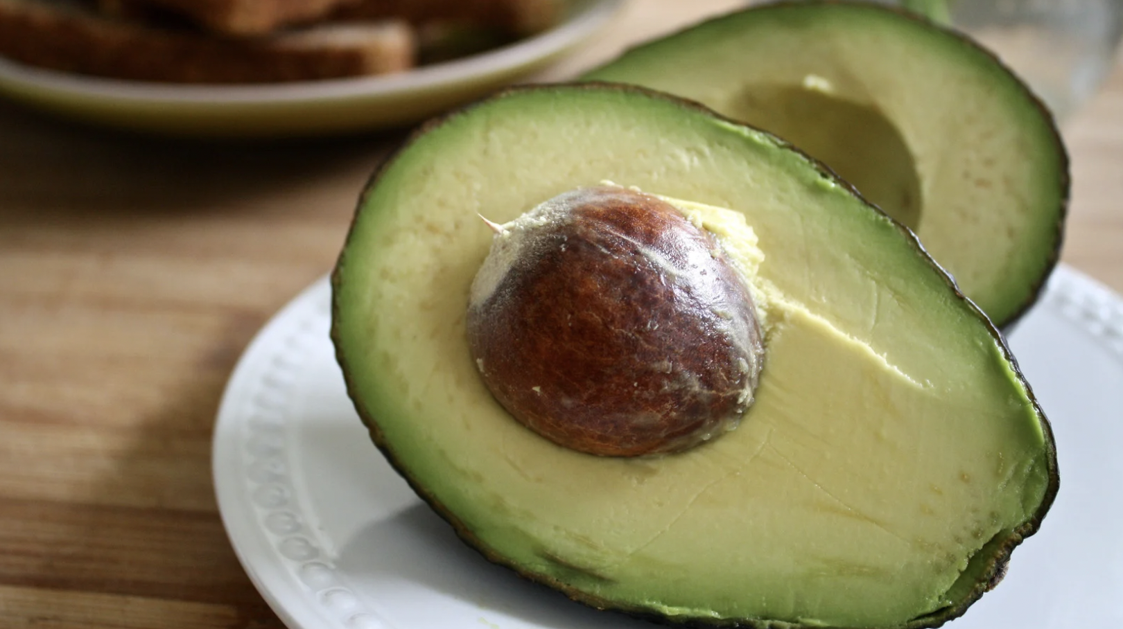 Avocado (Persea americana)