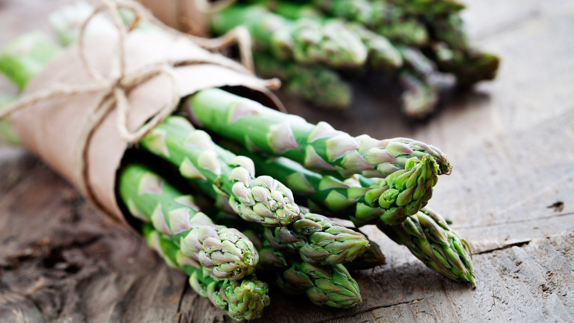 Asparagus (Asparagus officinalis)