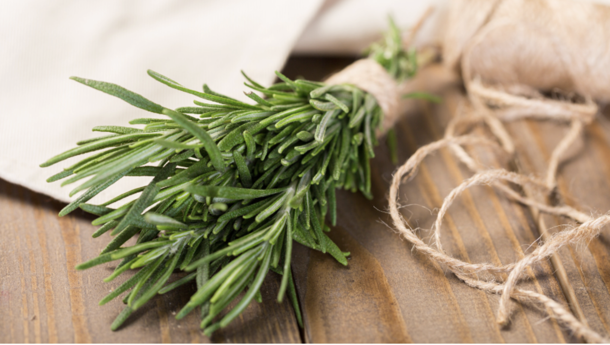 Rosemary, Dried (Rosmarinus officinalis)
