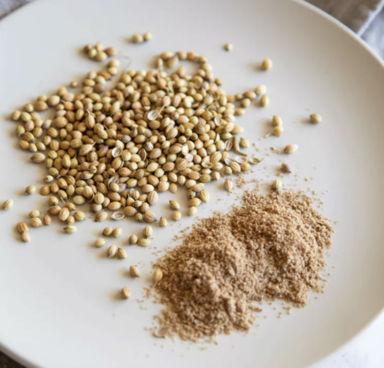 Coriander (Coriandrum sativum)