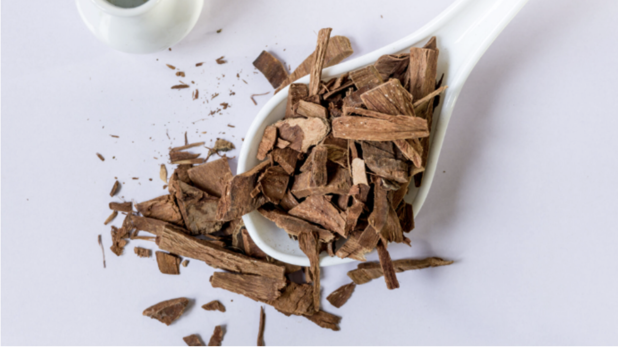 Ashoka Bark (Saraca asoca)