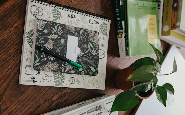 The Wellness Schools I’d Recommend for Learning Holistic Medicine