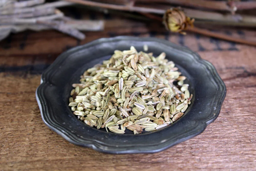 Fennel Seed (Dried Seed)