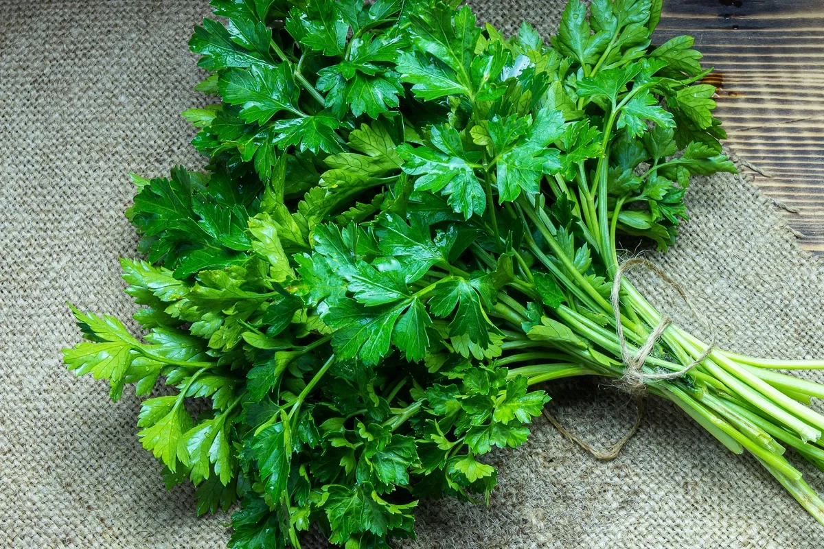 Parsley (Fresh or Tea)