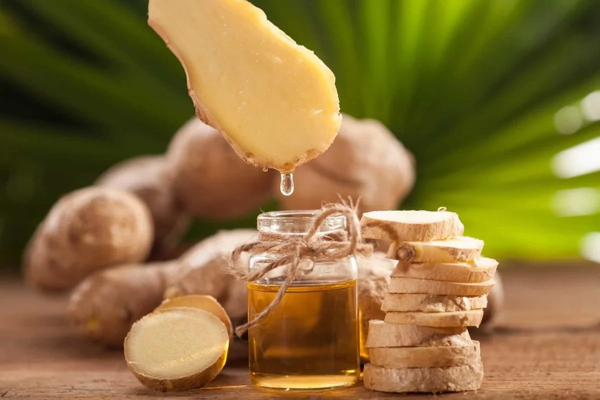 Ginger Root (Infused Oil)