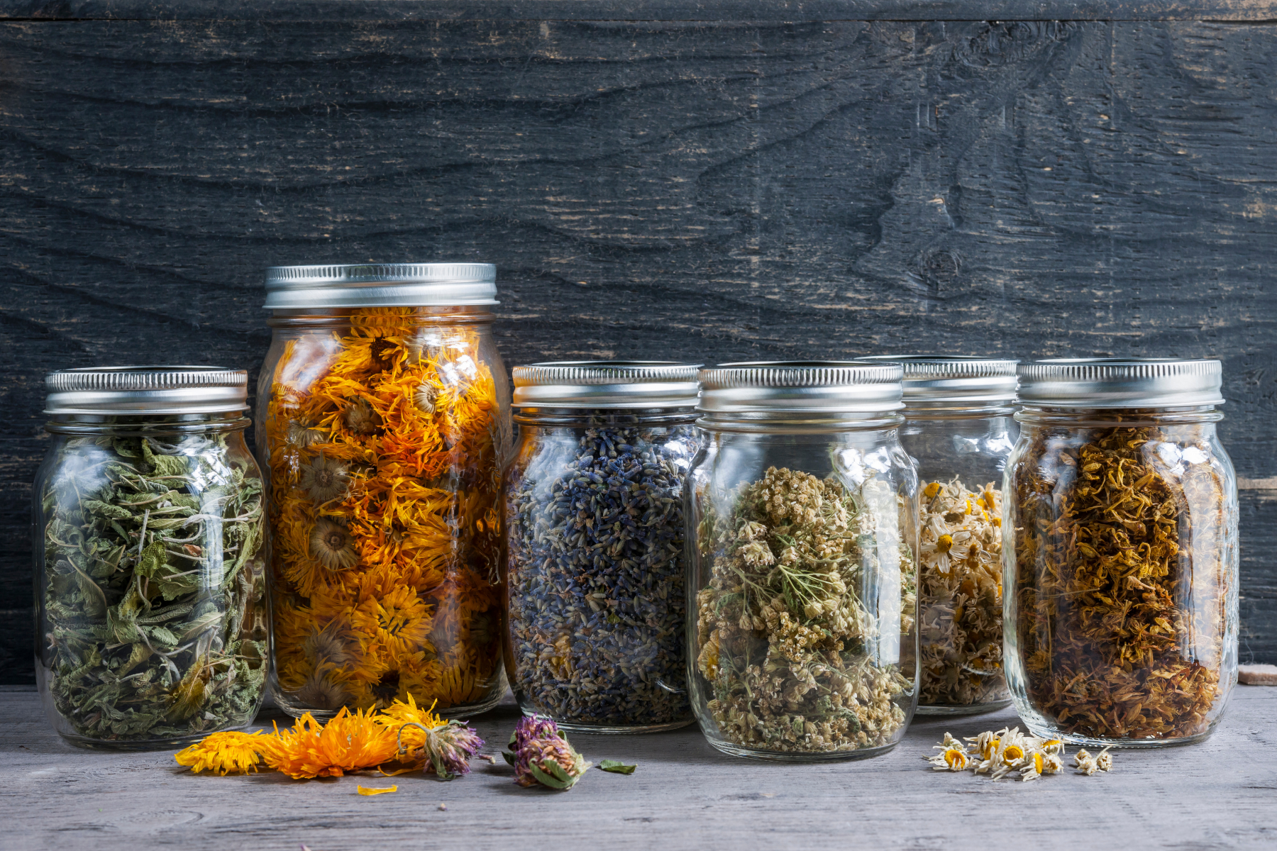 Herbal Formulas (Concentrated)