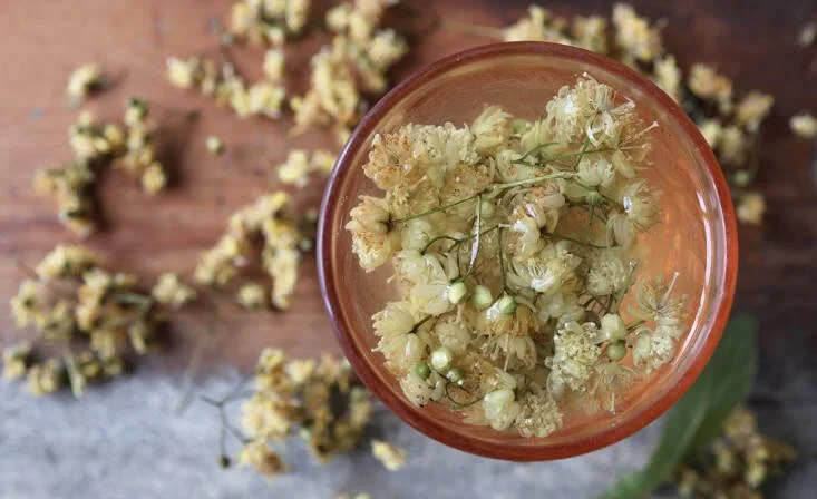 Linden Flower (Infusion Compress)