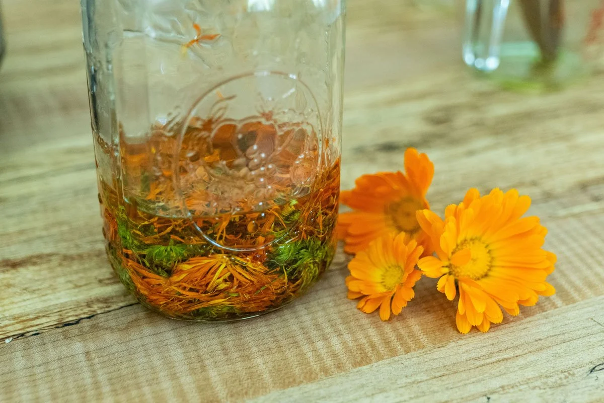 Calendula (Infused Oil)