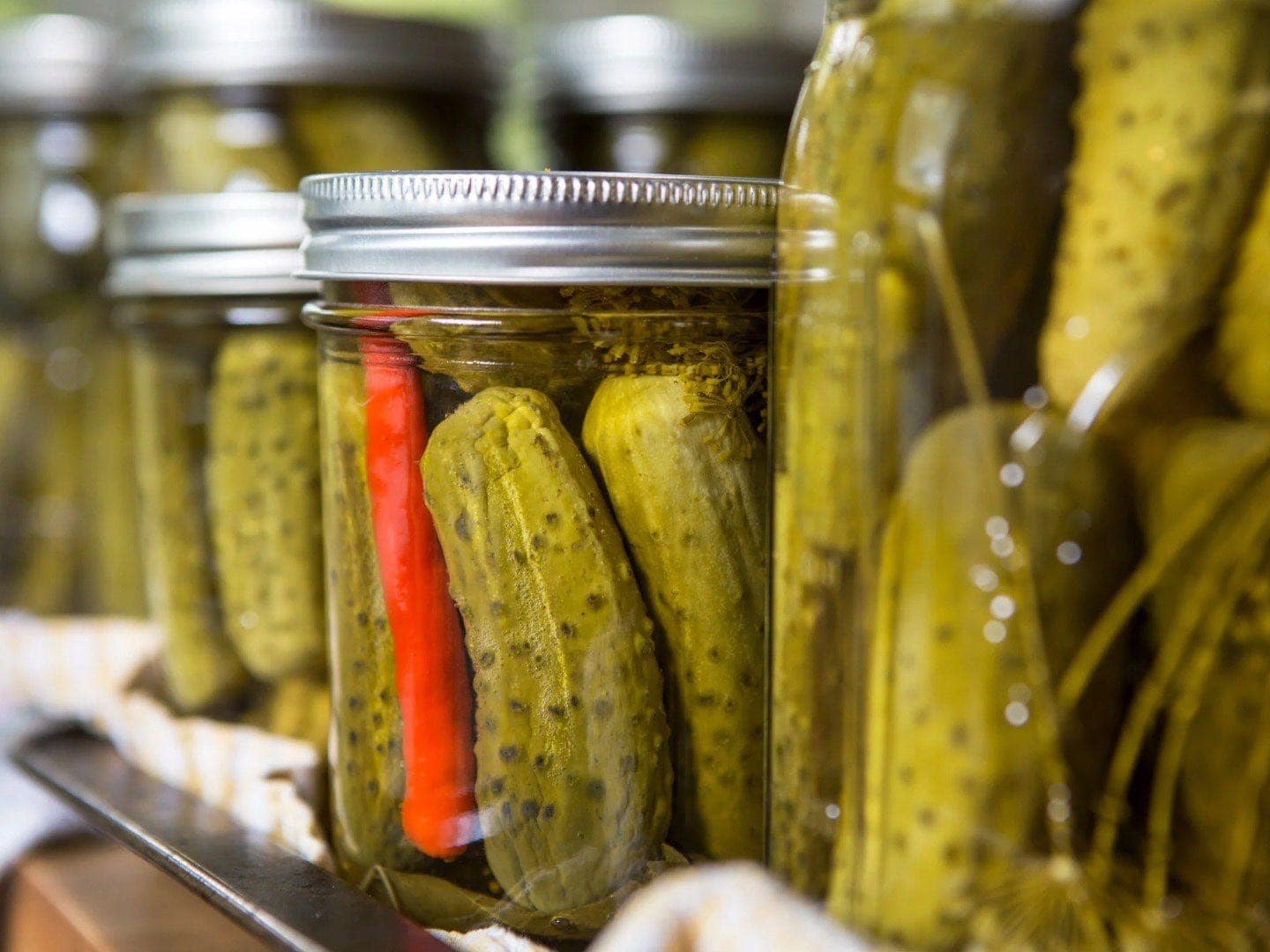 Cucumber, Fermented (Traditional Pickles)