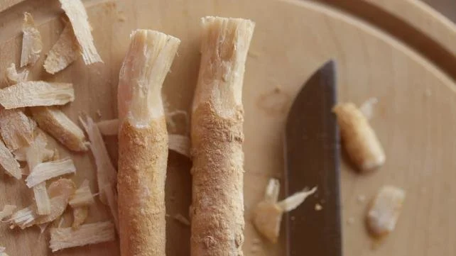 Miswak (Salvadora persica)