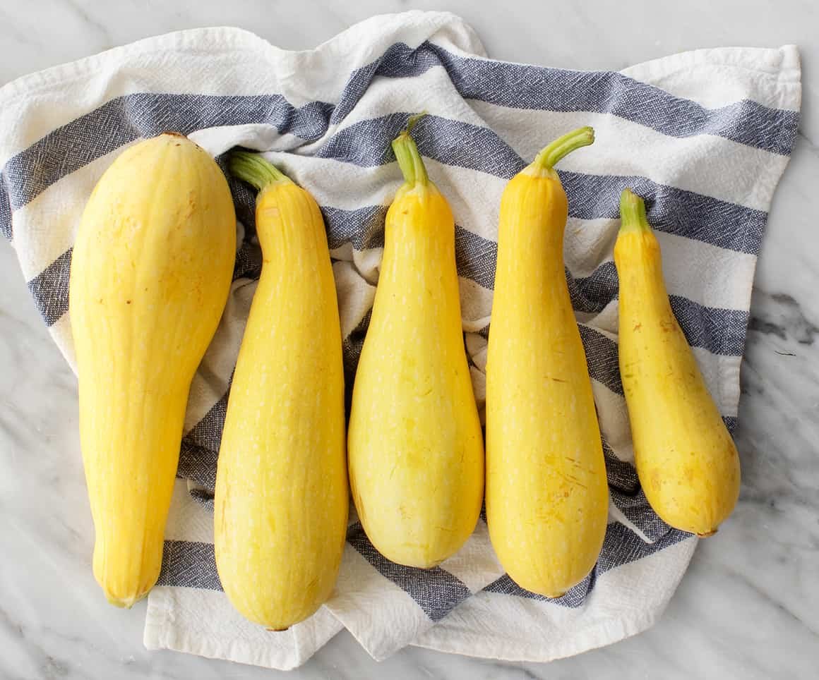 Yellow Squash