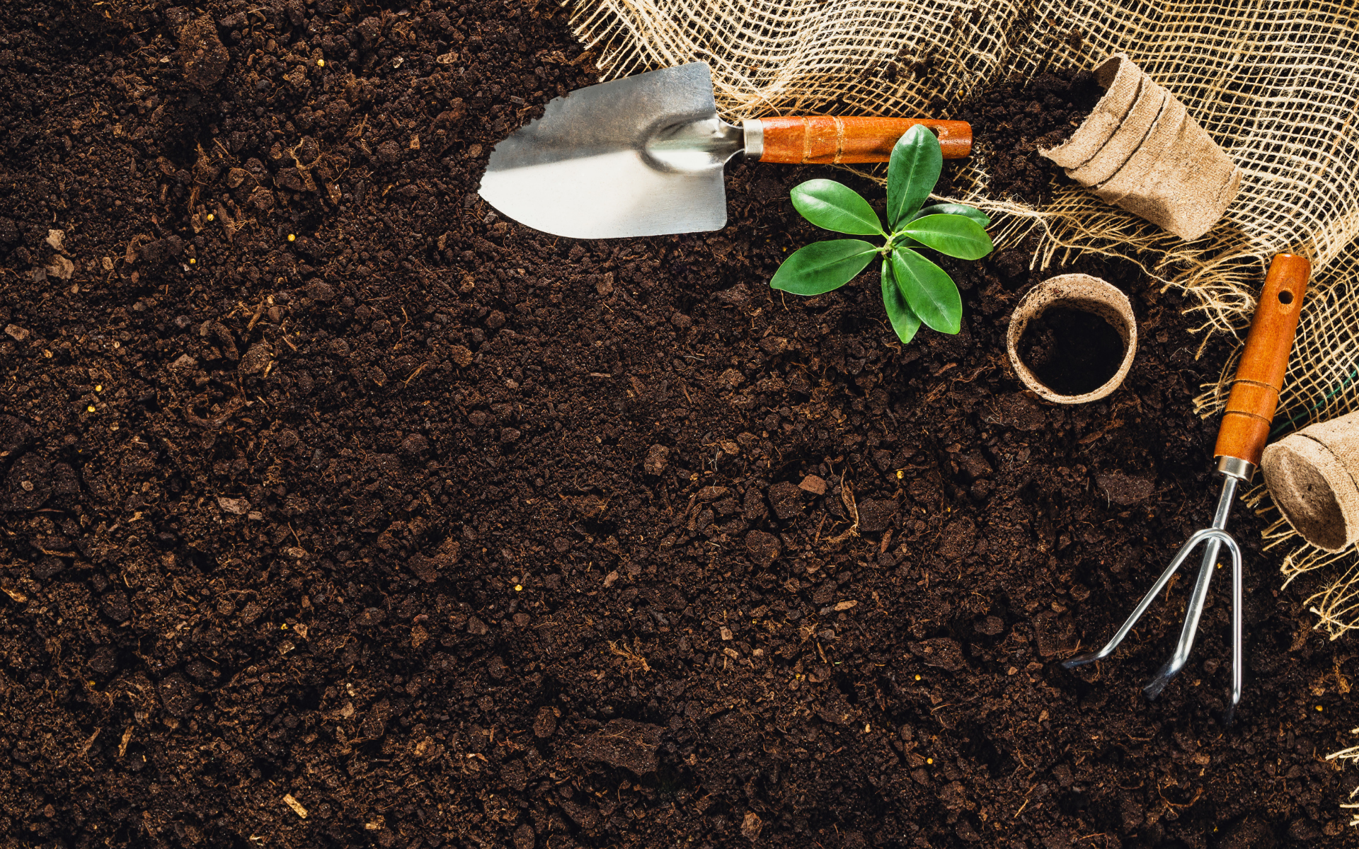 Gardening (Horticultural Therapy)