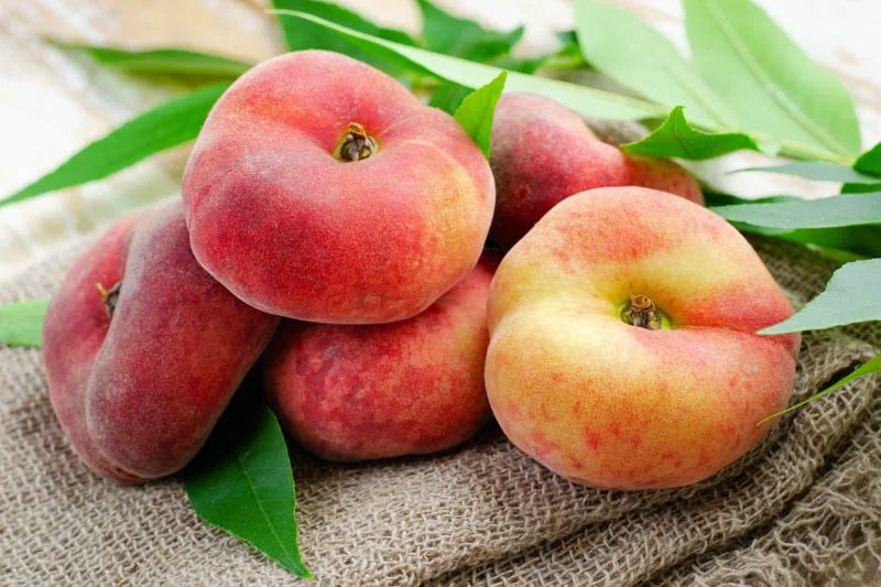 Peaches (Prunus persica)