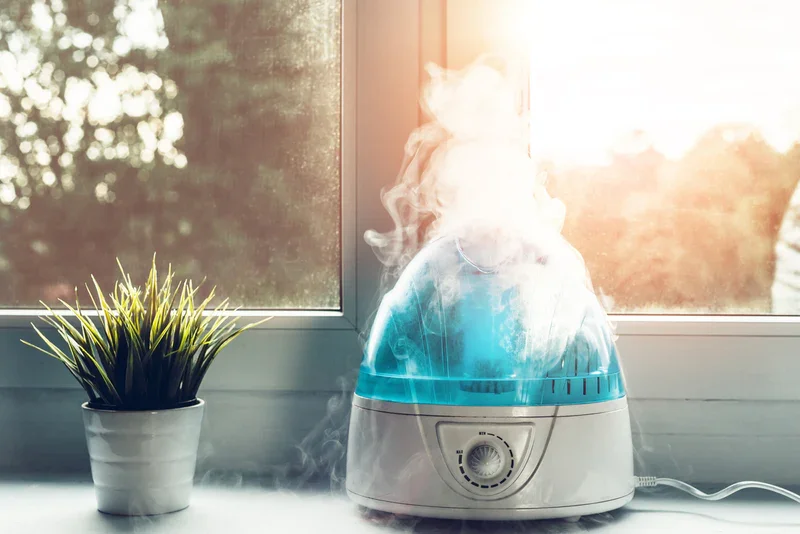 Warm Humidified Air