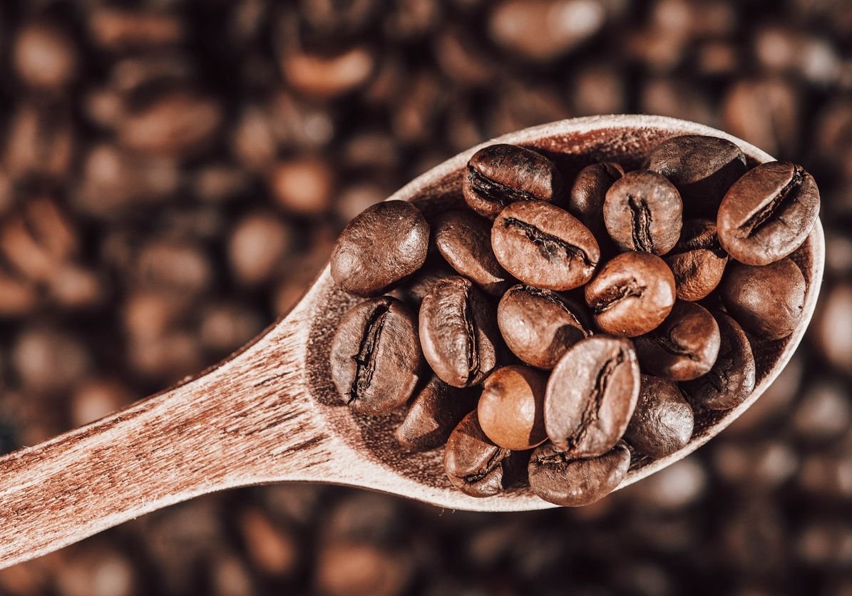 Coffea Arabica (Coffee)